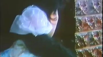 免费av黄-最新电影国语版在线观看免费-稚乳AV