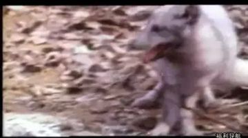 电影《性交奸淫》-免费全集神马在线观看-晨甜AV