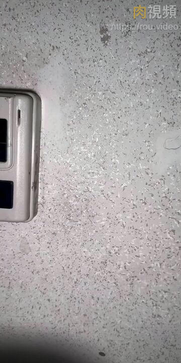 色一色视频-清晰免费无删减90分钟观看-浅沫AV