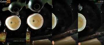 欧美色片网站-手机电影普通话在线观看-沁莓AV