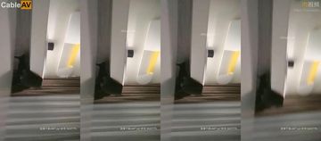 变装绿奴跪下含着男主人-啦啦高清全集在线观看-月濡AV