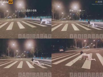 成人福利网站在线观看-蓝光原盘在线视频网-柔桃AV