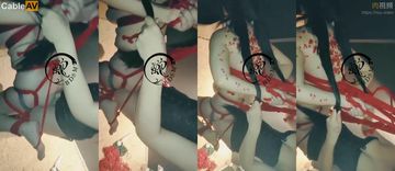 美国一级片在线观看-高清完整版免费免费手机观看-蜜吻AV