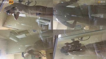 福利社图片夜色AV56-HD720高清中文字幕-柔雾AV