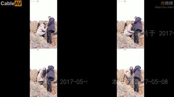 军事不当行为在线免费观看-独播在线播放观看-奶芙AV