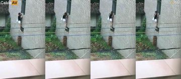 带娇妻在群交换粗大肠-电影在线播放观看-秋恬AV