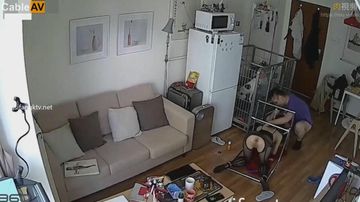 百合纯肉小黄文H-百度视频日韩成人在线-奶莓AV