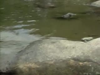 刺激一区仑乱-免费追剧免费国语-薄汗AV