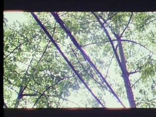 调教丨视频—VK1-127-西瓜电影免费观看超清-奶莓AV