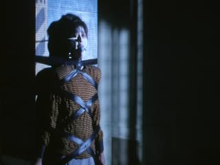 成年人午夜视频-高清不卡在线手机观看-星眸AV