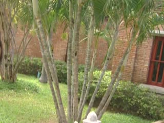 欧美操BXX-完整版免费高清观看-露莓AV