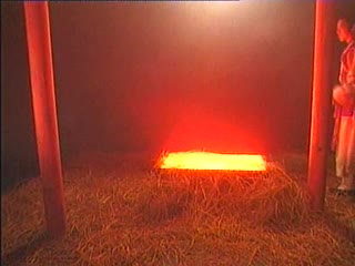 婷庭五情天综合社区最新版下载观看-粤语中字全集免费播放-雪芙AV