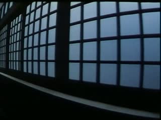 深夜爽爽爽-吉吉影视英文版字幕-初悸AV