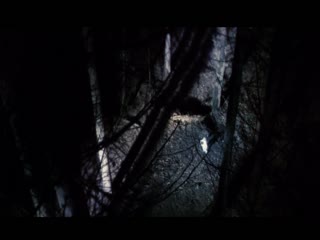 少妇牲交HD-手机MP4免费播放-稚甜AV