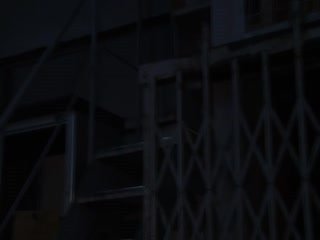 日韩毛片无码中文字幕-百度电影成人直接看-晨润AV