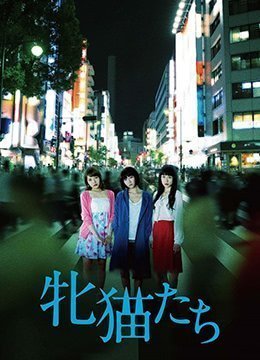 熊欲干柴烈火壮警的烦恼-午夜dj韩国电影在线观看-月濡AV