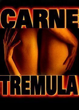 91日日日-免费日韩神马影院在线-星海AV