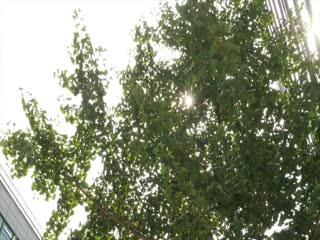 伊人色综合久天伊人-日语中字韩国电影在线-奶莓AV