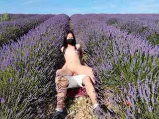 一级无码视频在欧美视频在线免费播放-磁力链电影在线看-蝶蜜AV