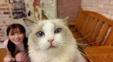 国产亚洲精品久久久456-手机影院神马影院在线-暖风AV