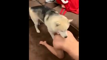 岳㑄理伦片在线播放-640P国语版全集-奶莓AV