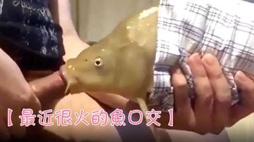 人妻调教极品绿帽视频-HD1280P最新电影迅雷下载-絮絮AV