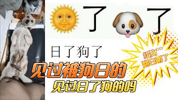 性猛交╳XXX乱大交-国语正片国语版全集-绒兔AV