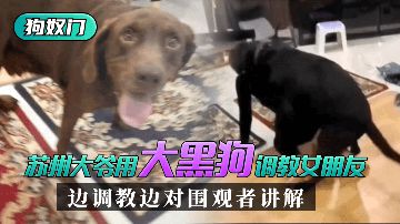 绯色av一区二区三区蜜臀-全集西瓜视频免费观看-暖拥AV