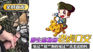 护士黑料导航在线-枪版蓝光版中文字幕包-絮絮AV