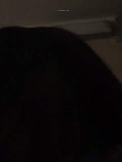 91精品无码少妇-韩语中字日韩免费观看-初苞AV